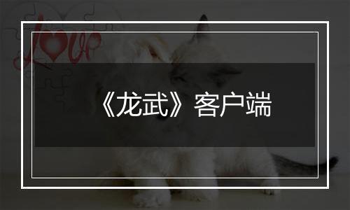 《龙武》客户端