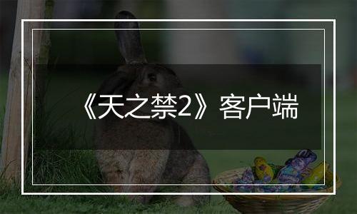 《天之禁2》客户端