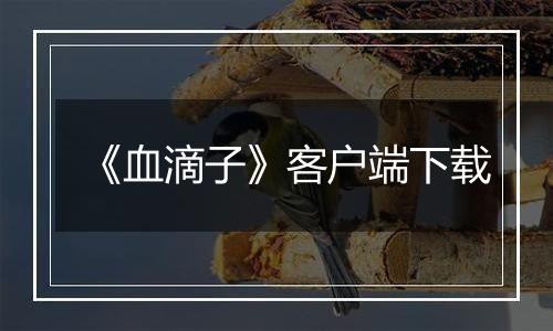 《血滴子》客户端下载
