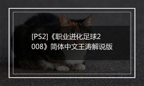 [PS2]《职业进化足球2008》简体中文王涛解说版