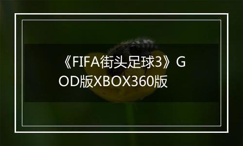 《FIFA街头足球3》GOD版XBOX360版