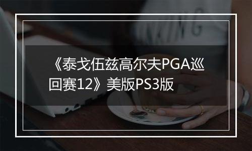 《泰戈伍兹高尔夫PGA巡回赛12》美版PS3版