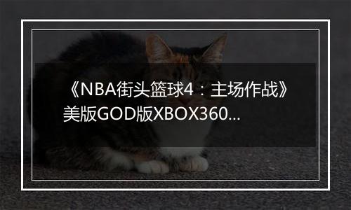 《NBA街头篮球4：主场作战》美版GOD版XBOX360版