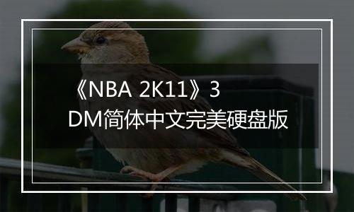 《NBA 2K11》3DM简体中文完美硬盘版
