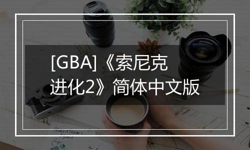 [GBA]《索尼克进化2》简体中文版