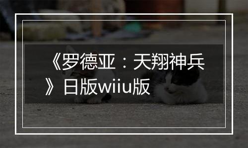 《罗德亚：天翔神兵》日版wiiu版