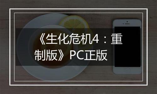 《生化危机4：重制版》PC正版