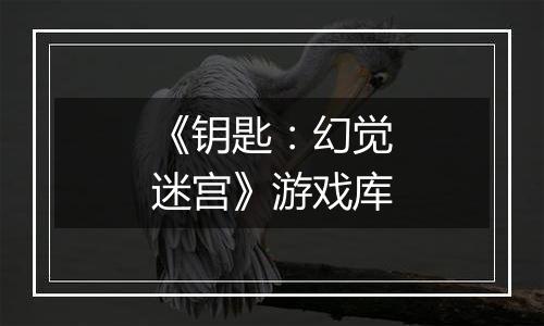《钥匙：幻觉迷宫》游戏库