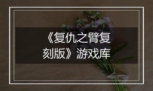 《复仇之臂复刻版》游戏库