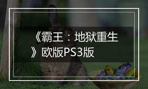 《霸王：地狱重生》欧版PS3版
