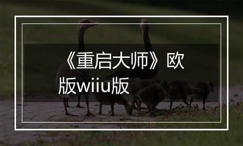 《重启大师》欧版wiiu版