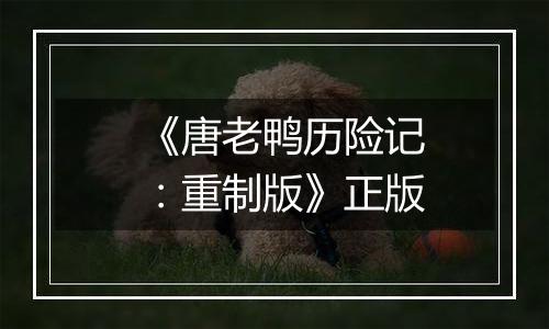 《唐老鸭历险记：重制版》正版