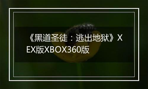 《黑道圣徒：逃出地狱》XEX版XBOX360版