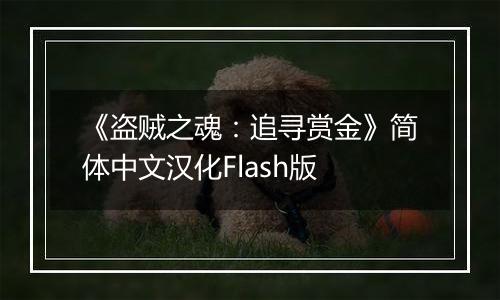 《盗贼之魂：追寻赏金》简体中文汉化Flash版