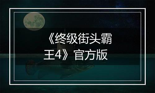 《终级街头霸王4》官方版