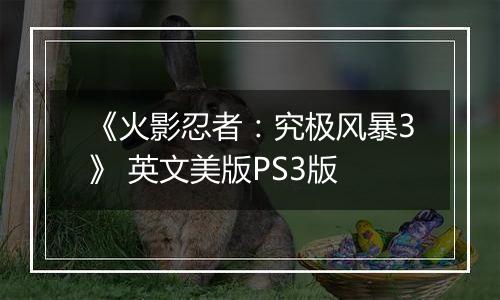 《火影忍者：究极风暴3》 英文美版PS3版