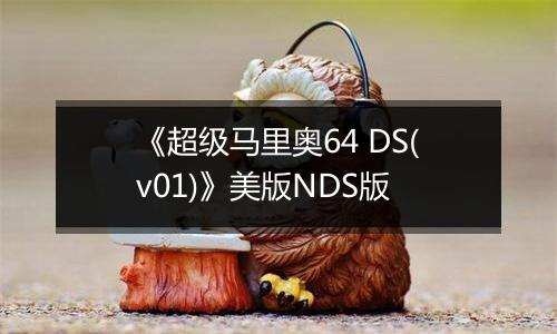 《超级马里奥64 DS(v01)》美版NDS版