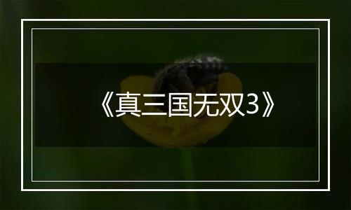 《真三国无双3》