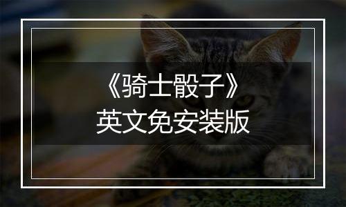 《骑士骰子》英文免安装版