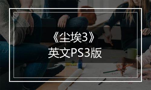 《尘埃3》 英文PS3版