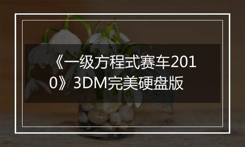 《一级方程式赛车2010》3DM完美硬盘版