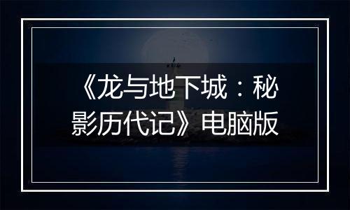 《龙与地下城：秘影历代记》电脑版