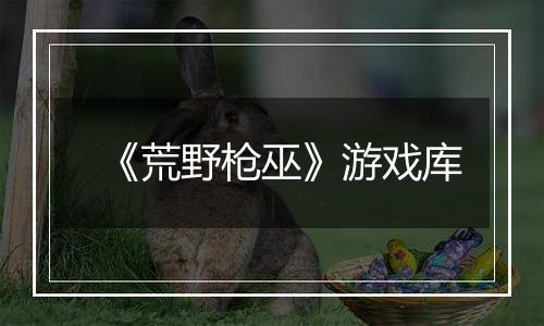 《荒野枪巫》游戏库