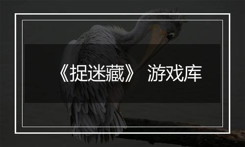 《捉迷藏》 游戏库