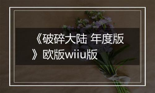 《破碎大陆 年度版》欧版wiiu版