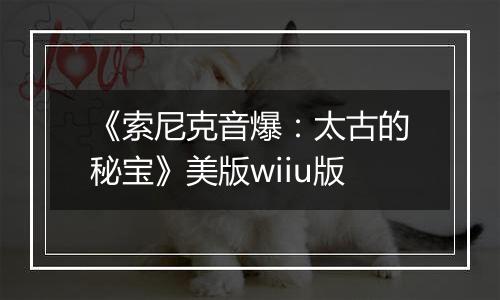 《索尼克音爆：太古的秘宝》美版wiiu版