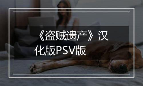 《盗贼遗产》汉化版PSV版