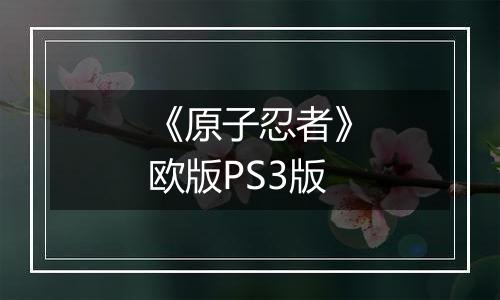 《原子忍者》欧版PS3版