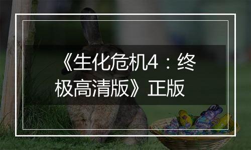 《生化危机4：终极高清版》正版