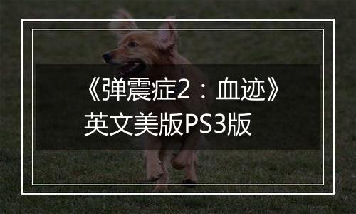 《弹震症2：血迹》 英文美版PS3版