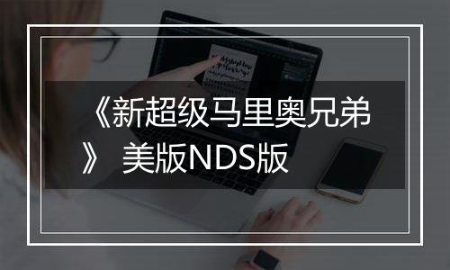 《新超级马里奥兄弟》 美版NDS版