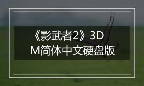 《影武者2》3DM简体中文硬盘版
