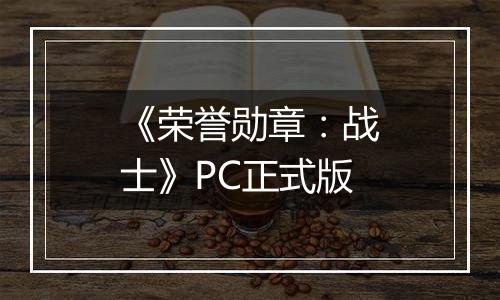 《荣誉勋章：战士》PC正式版