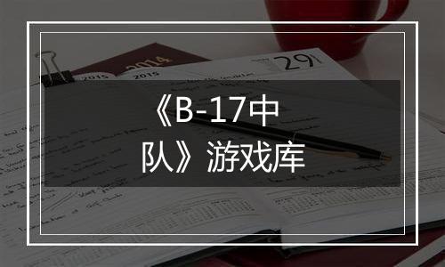 《B-17中队》游戏库
