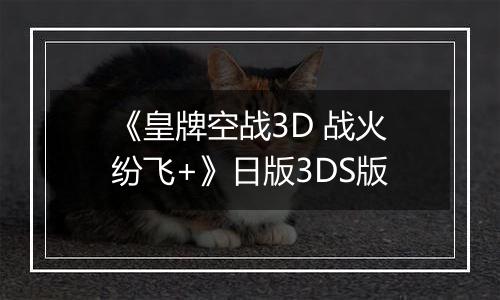 《皇牌空战3D 战火纷飞+》日版3DS版