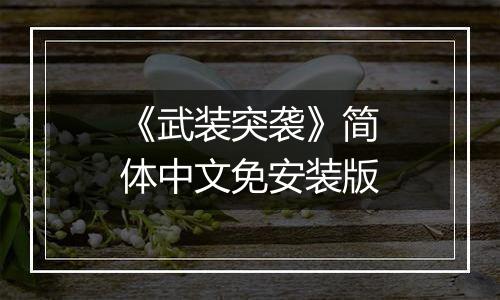 《武装突袭》简体中文免安装版