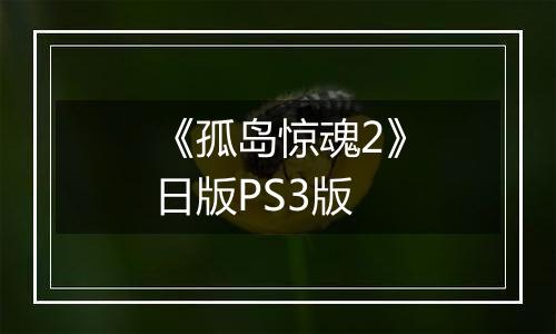 《孤岛惊魂2》日版PS3版