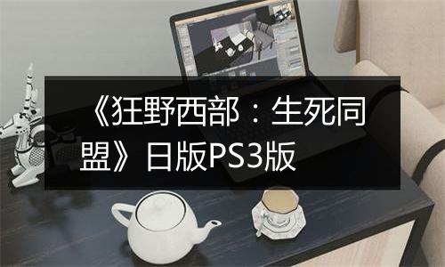 《狂野西部：生死同盟》日版PS3版
