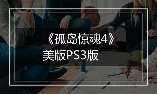 《孤岛惊魂4》美版PS3版