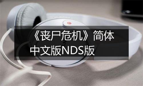 《丧尸危机》简体中文版NDS版