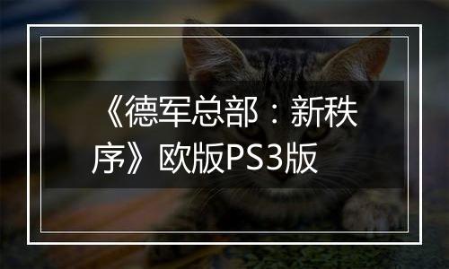 《德军总部：新秩序》欧版PS3版