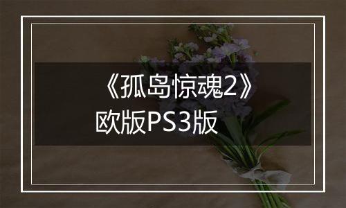 《孤岛惊魂2》欧版PS3版