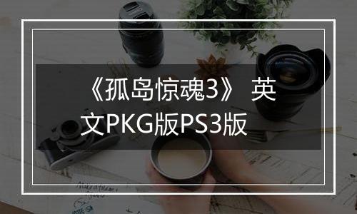《孤岛惊魂3》 英文PKG版PS3版