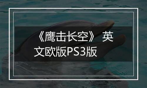 《鹰击长空》 英文欧版PS3版