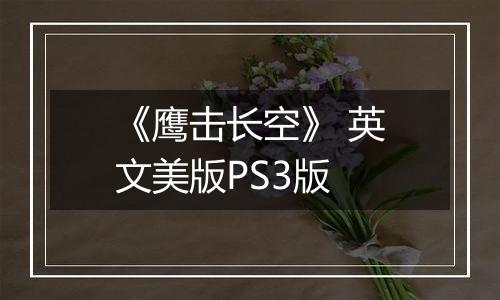 《鹰击长空》 英文美版PS3版