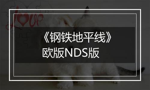 《钢铁地平线》 欧版NDS版